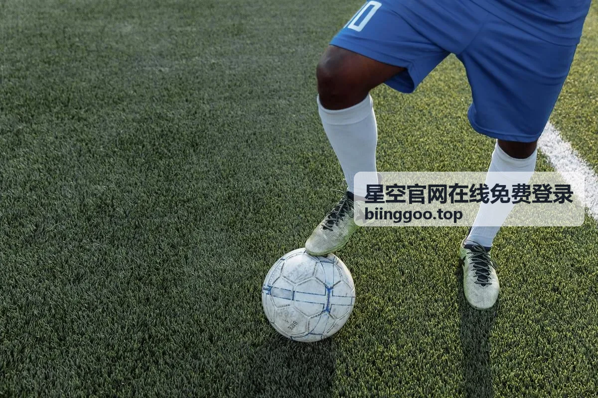 星空官网在线免费登录提交后等待提示画面