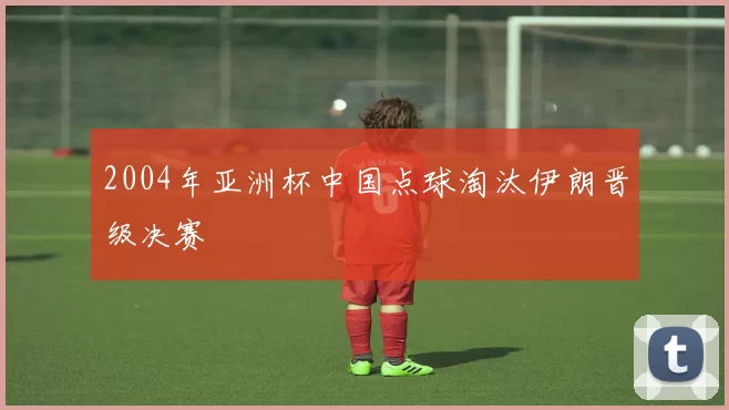 2004年亚洲杯中国点球淘汰伊朗晋级决赛