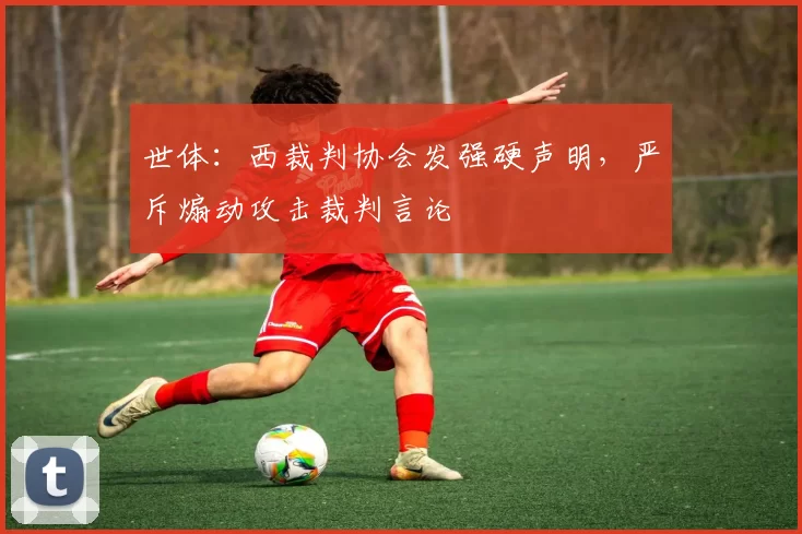 世体：西裁判协会发强硬声明，严斥煽动攻击裁判言论